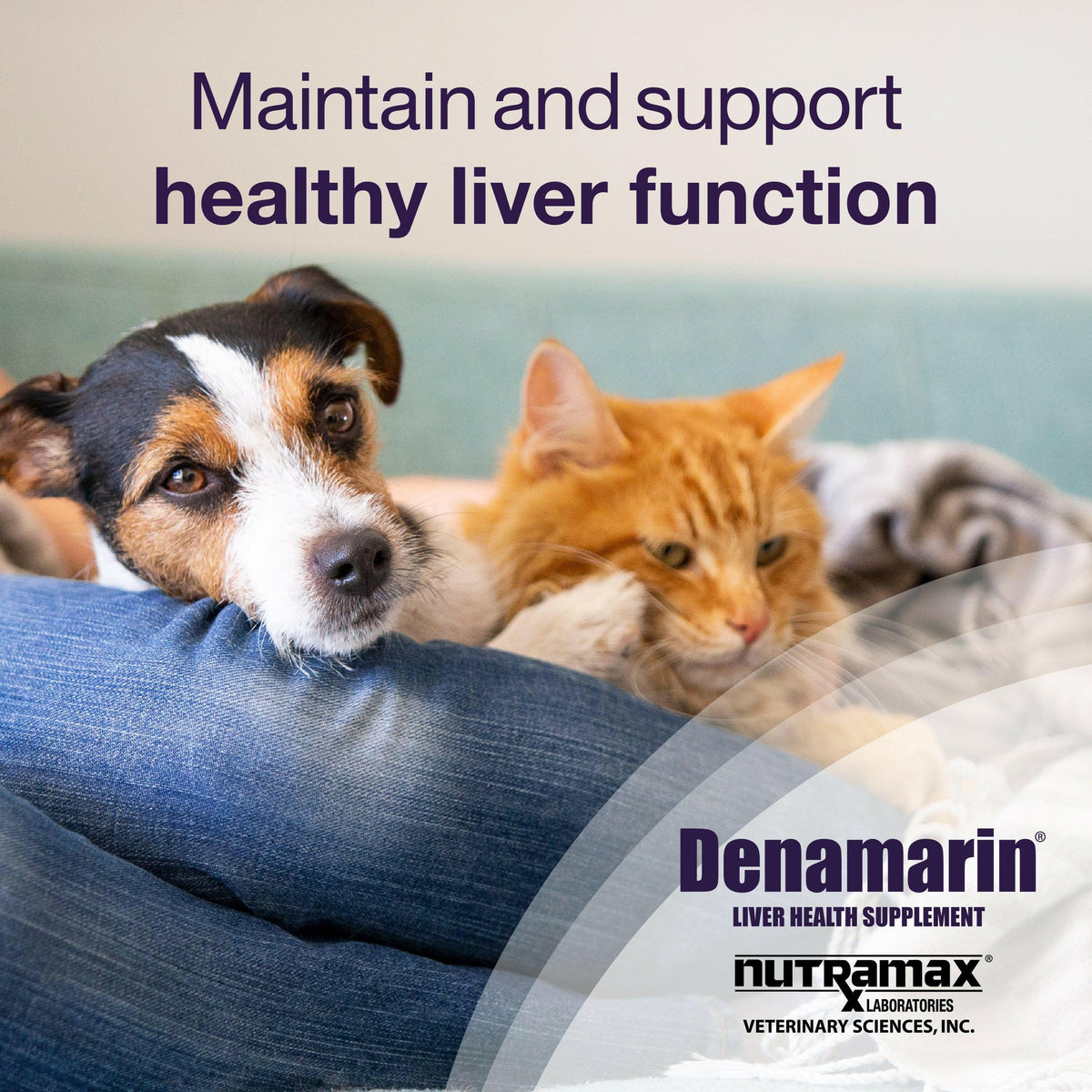 Denamarin for Cats and Small Dogs in a Bottle