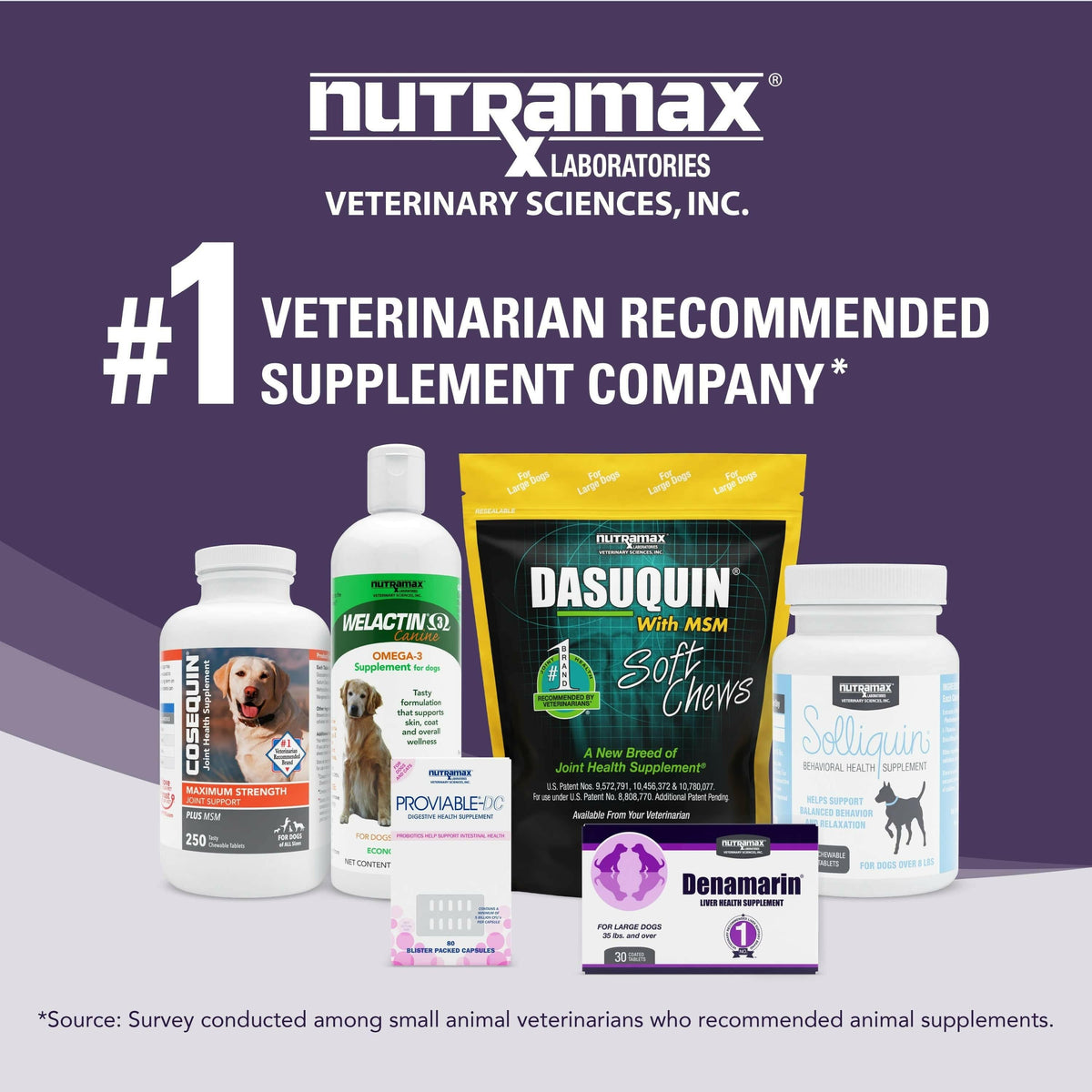 Denamarin for Cats and Small Dogs in a Bottle