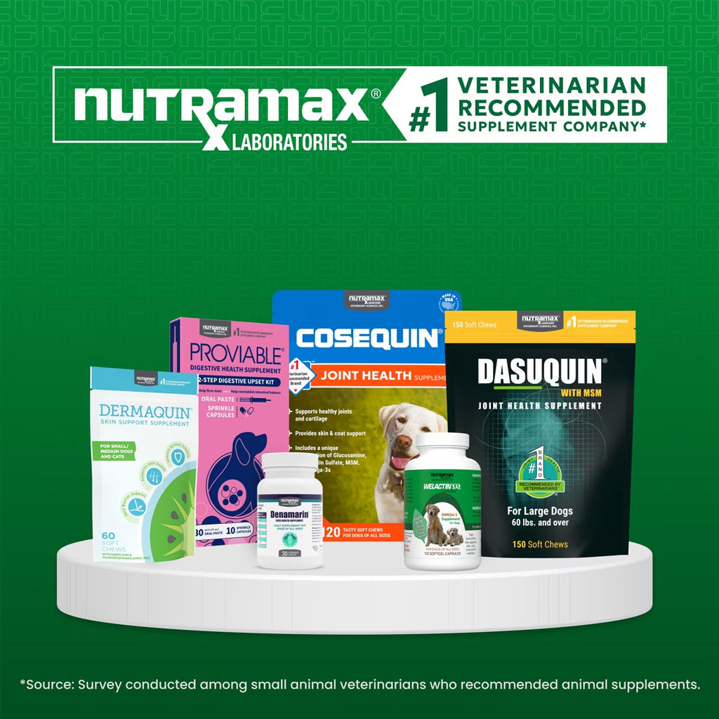 Dermaquin Soft Chews Skin Support Supplement for Dogs & Cats, 60-count