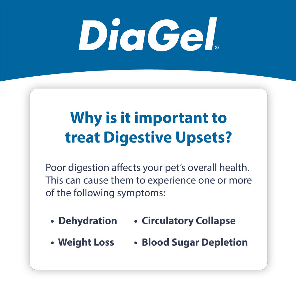 DiaGel Anti-Diarrheal Gel for Cats (1 ml)