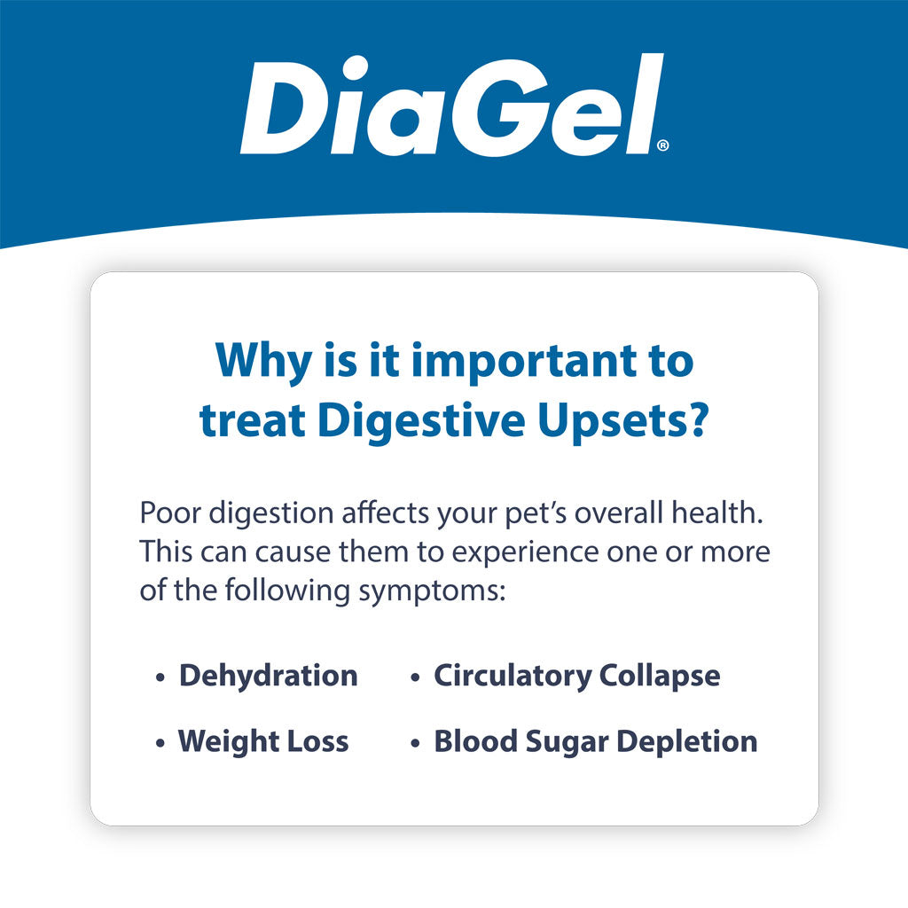 DiaGel Anti-Diarrheal Gel for Large Dogs (5 ml)