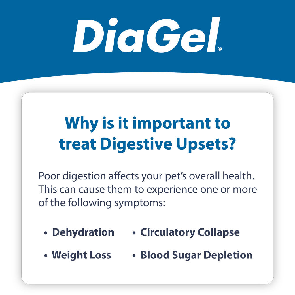 DiaGel Anti-Diarrheal Gel for Medium Dogs (3 ml)