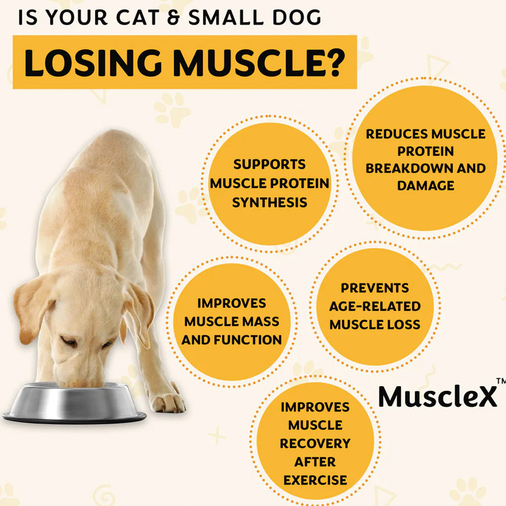 Doggy Naturals MuscleX Advance Muscle Development for Dogs & Cats, 90 capsules
