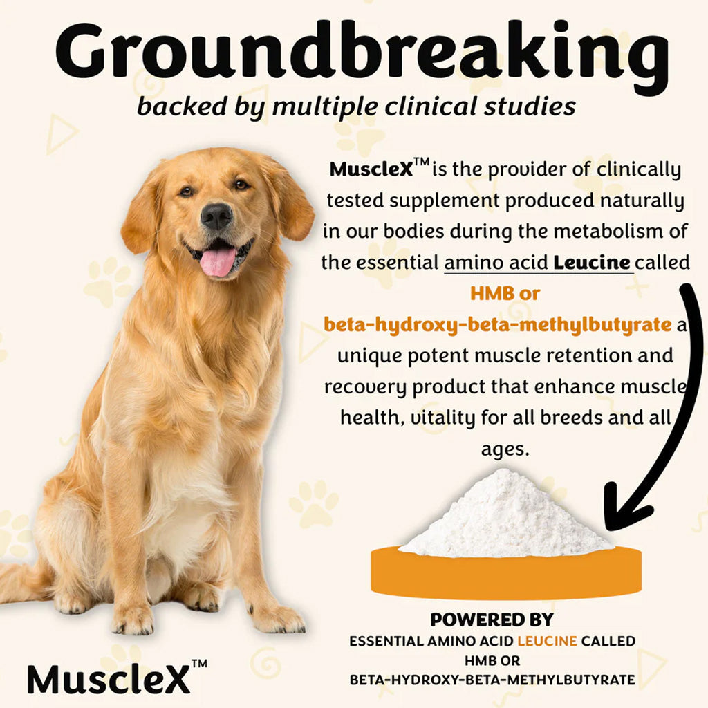 Doggy Naturals MuscleX Advance Muscle Development for Dogs & Cats, 90 capsules