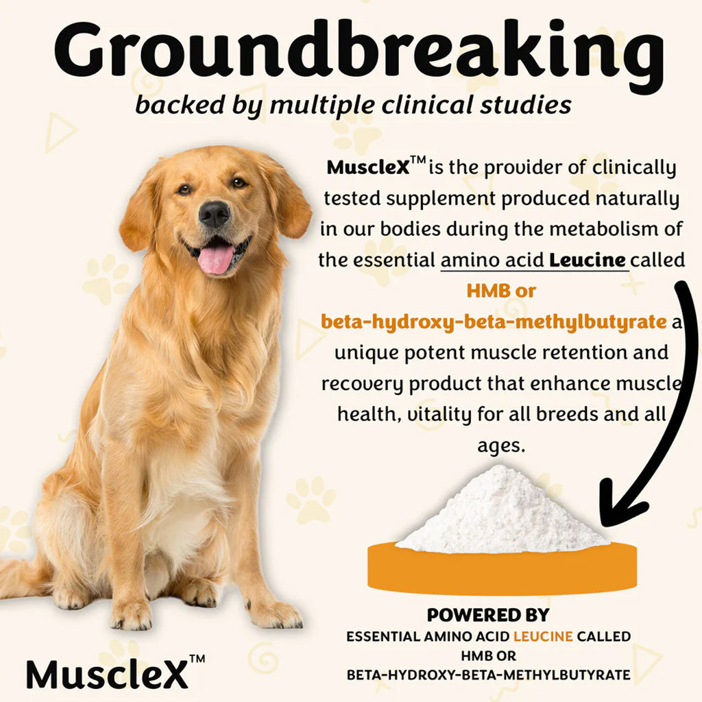 Doggy Naturals MuscleX Advance Muscle Development for Dogs & Cats, 90 capsules