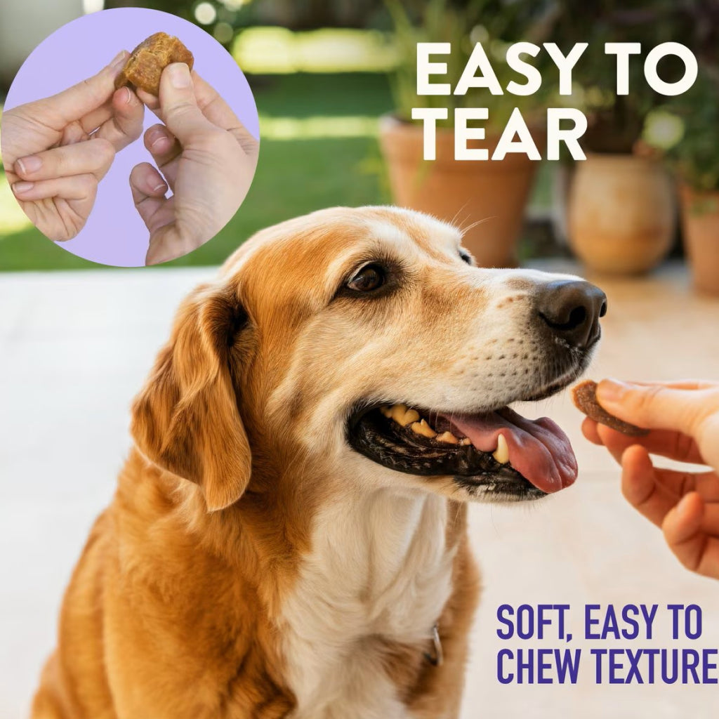 Dogswell Senior Health Mini Soft Strips Duck Recipe Treats For Dogs