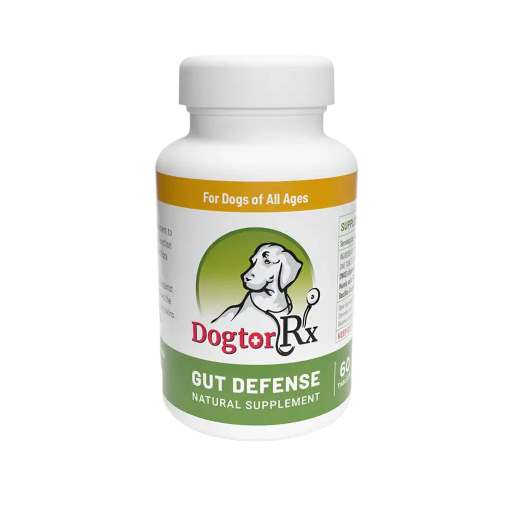 DogtorRx Gut Defense Natural Supplement for Dogs of All Ages, 60 Tablets