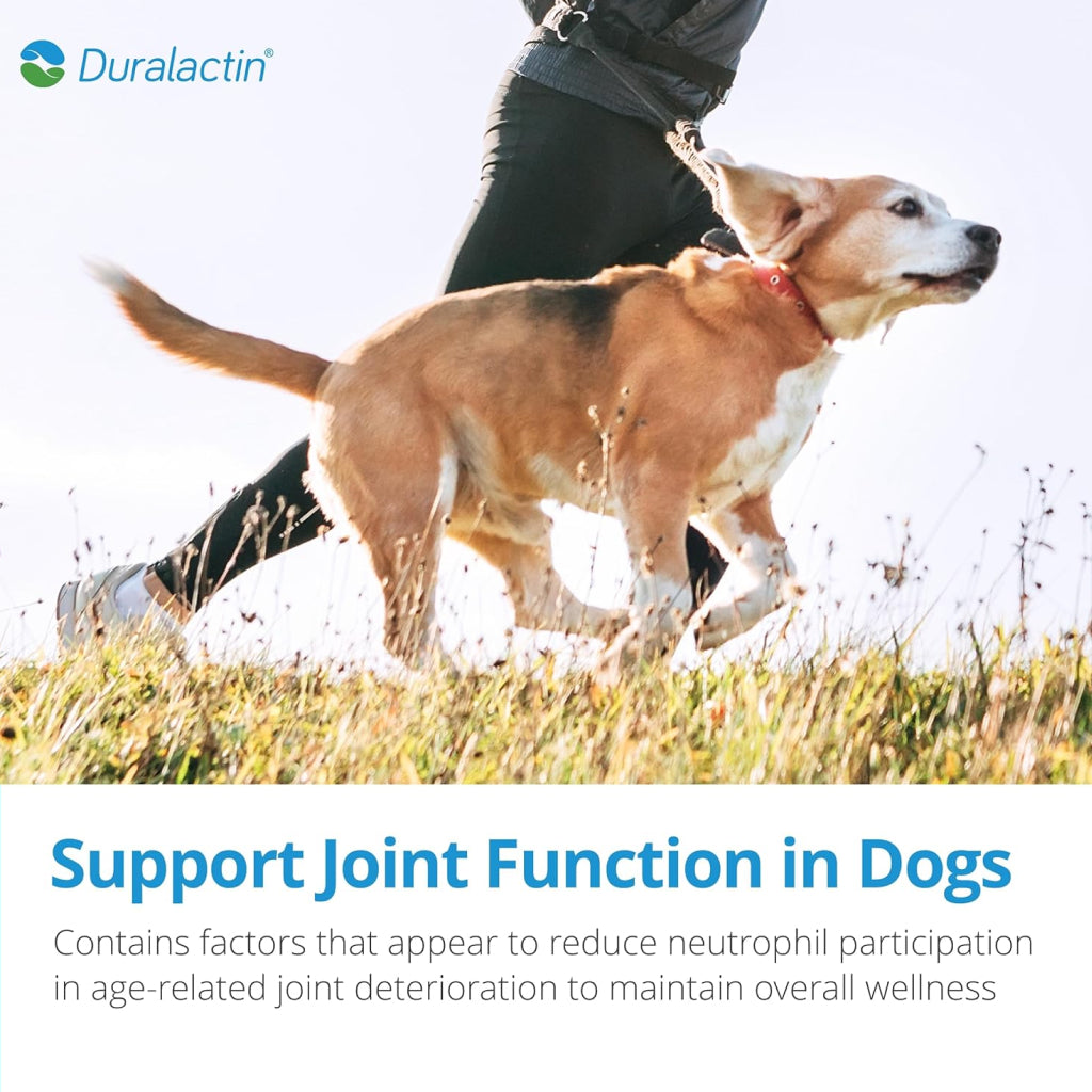Duralactin Canine Chewable for Dogs