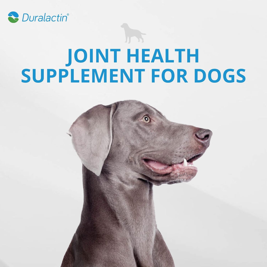 Duralactin Canine Chewable for Dogs
