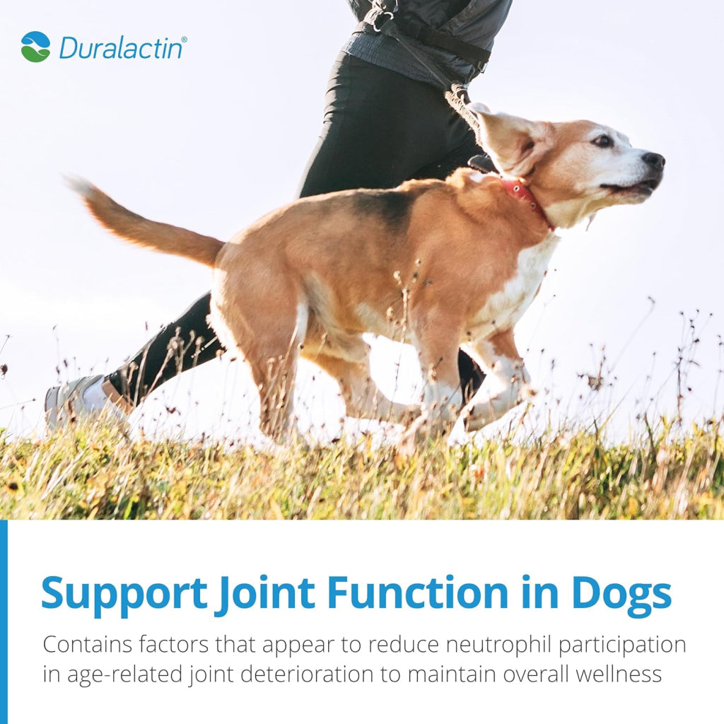 Duralactin Canine Soft Chews for Dogs