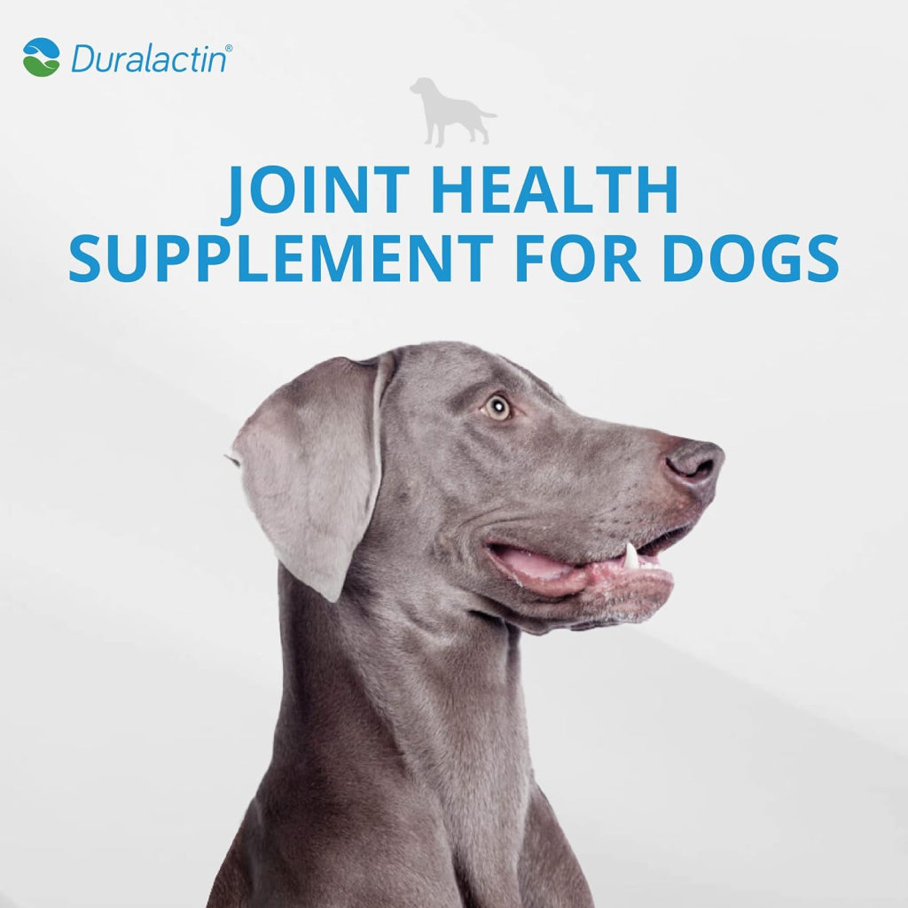 Duralactin Canine Soft Chews for Dogs