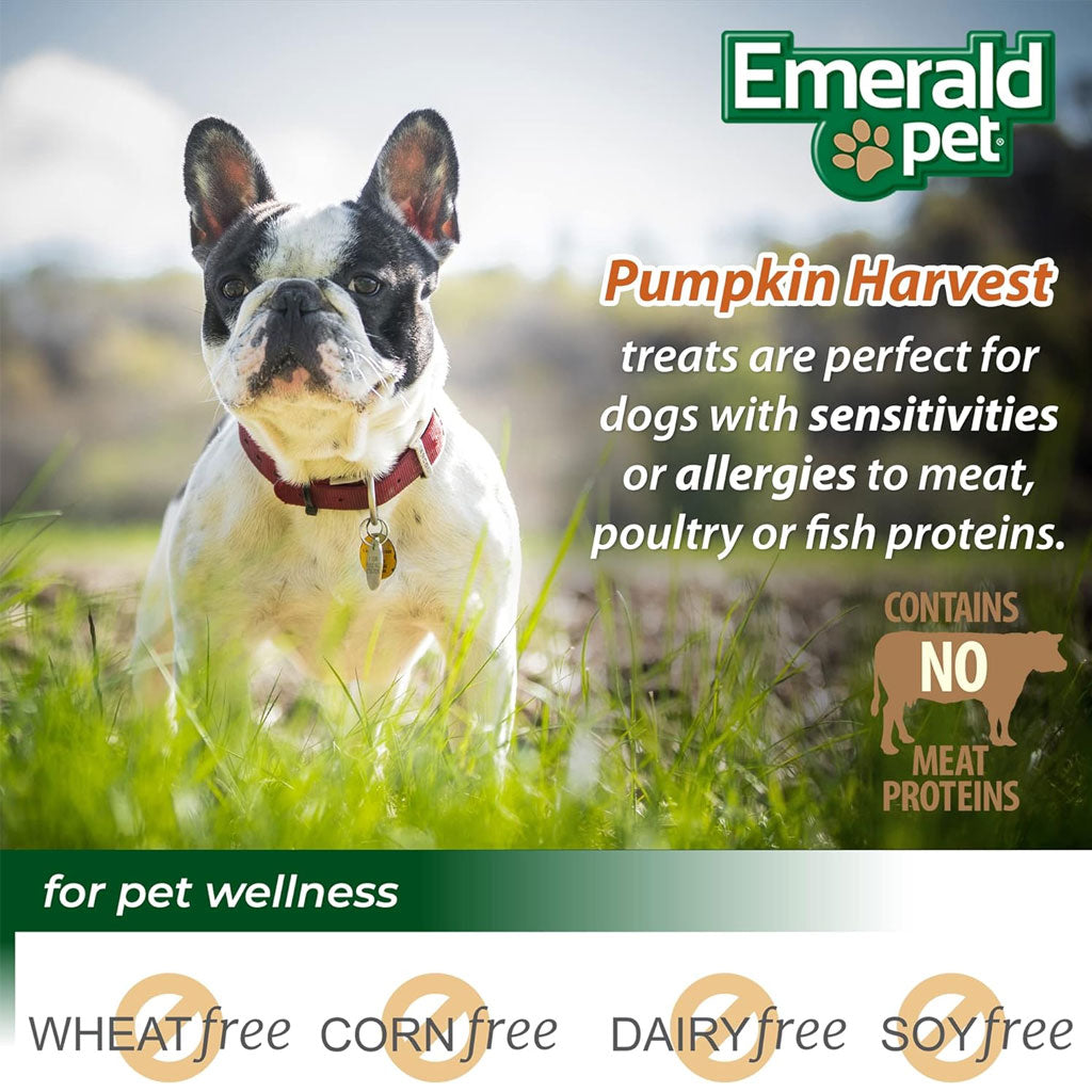 Emerald Pet Pumpkin Harvest Mini Trainers Pumpkin Recipe with Mixed Berry Dog Treats, 6-oz
