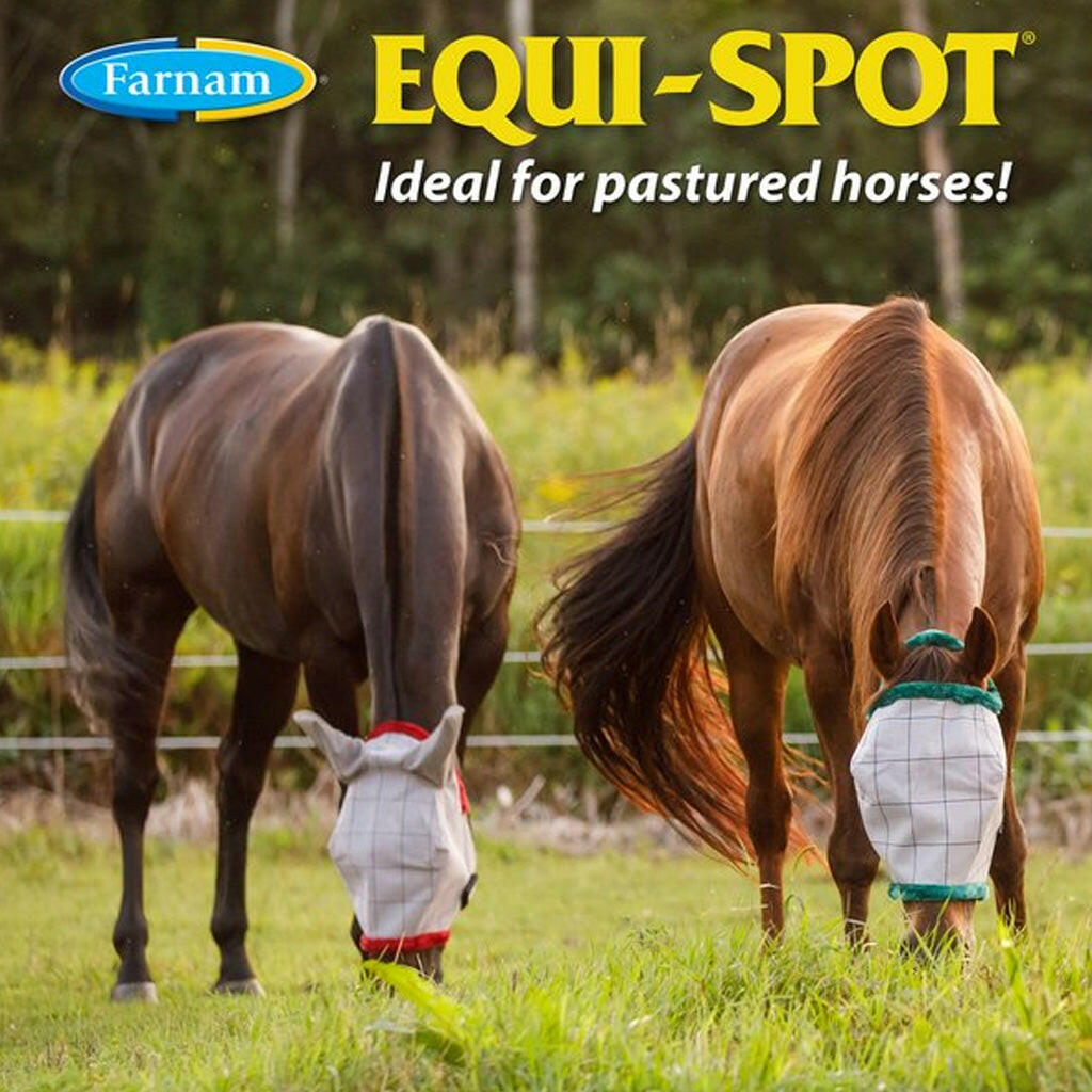 Equi-Spot Spot-On Protection for Horses (6 week supply)