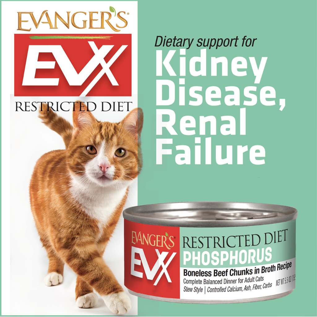 Evanger's EVX Restricted Diet Low Phosphorus Boneless Beef Chunks in Brothe Recipe Wet Cat Food (5.5 oz x 24 cans)