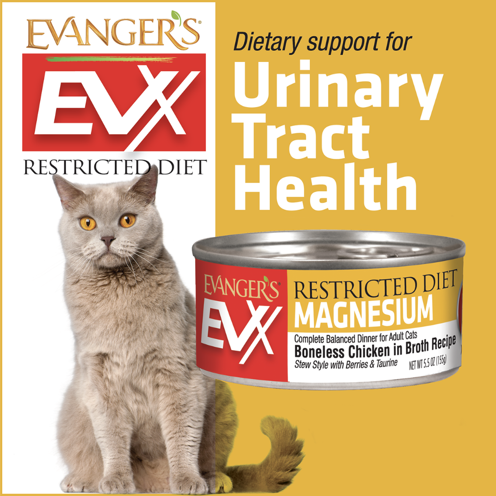 Evanger's EVX Restricted Diet Urinary Tract Boneless Chicken in Brothe Recipe Wet Cat Food (5.5 oz x 24 cans)