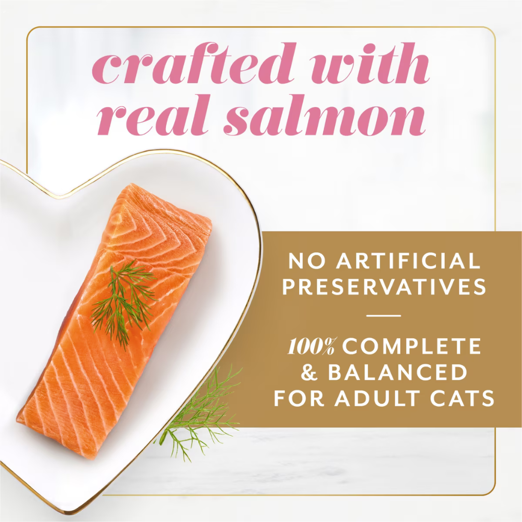 Fancy Feast Gems Mousse Pate Salmon & Gravy Halo Wet Cat Food (2 oz x 16 servings)