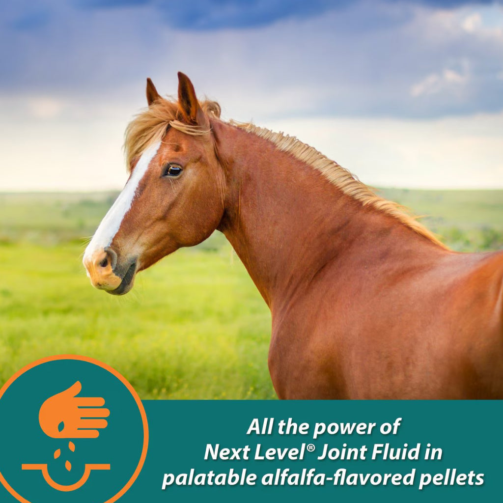 Farnam Next Level Joint Pellets for Horses (1.875 lb)