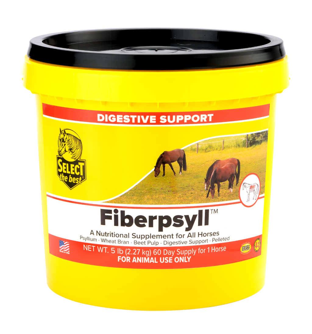 Fiberpsyll 4-in-1 Digestive Support for Horses