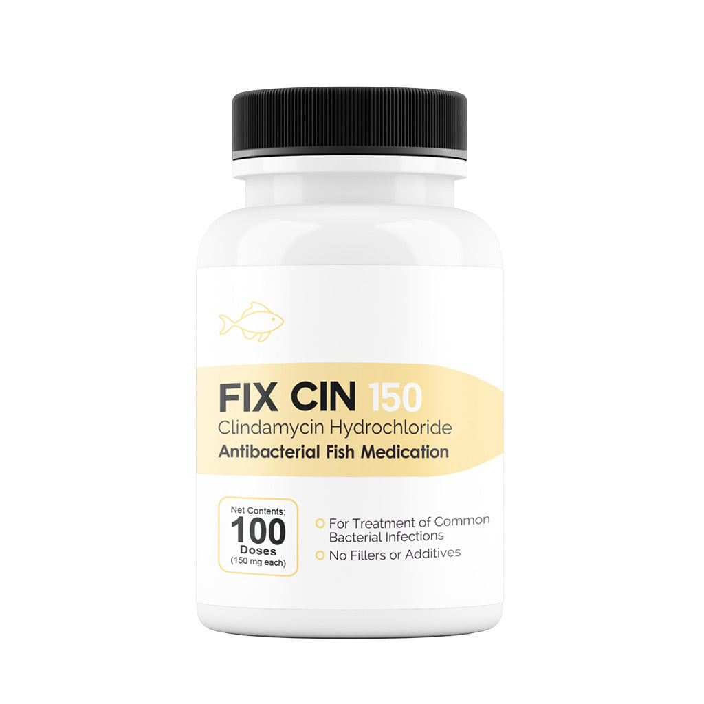 Fix Cin (Clindamycin) Capsules Fish Antibiotics, 150-mg, 100-count