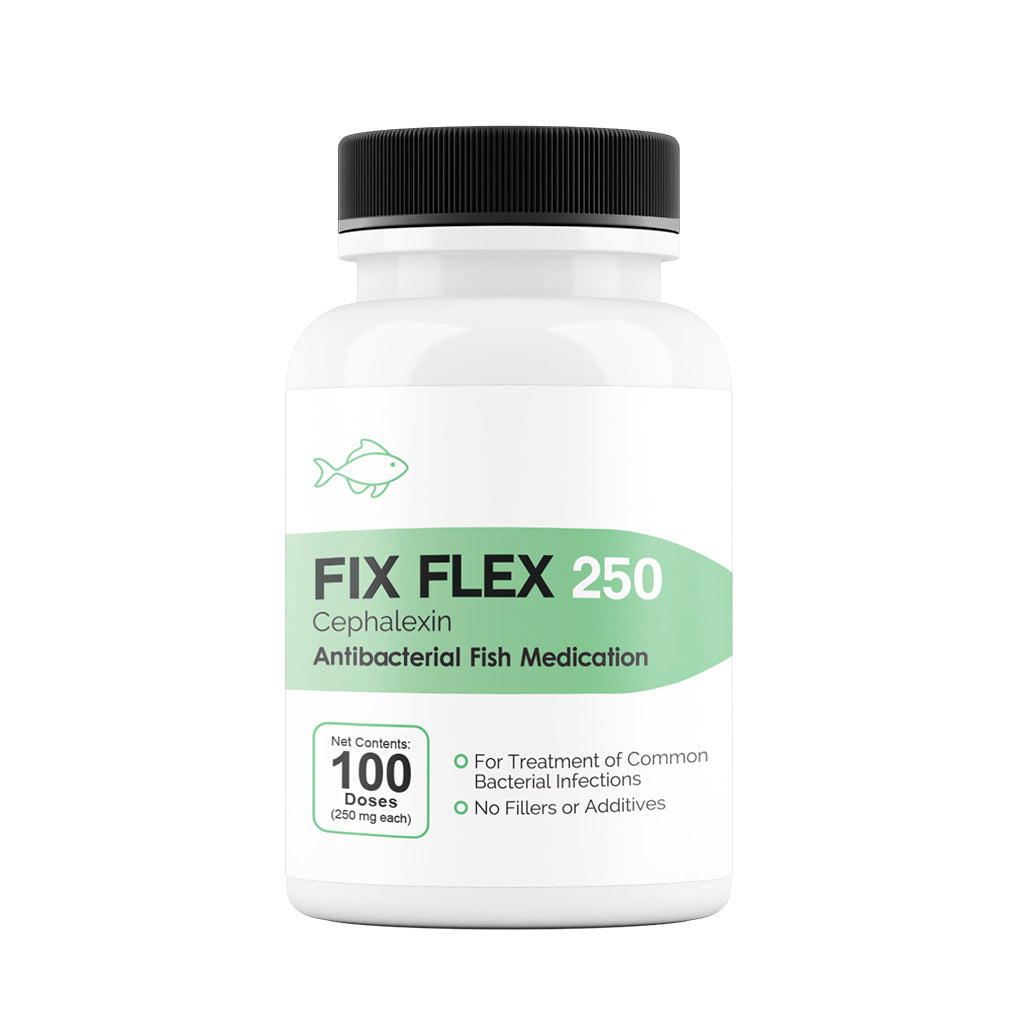 Fix Flex (Cephalexin) Capsules Fish Antibiotics