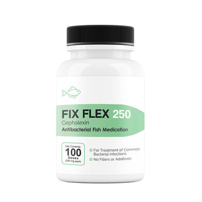 Fix Flex (Cephalexin) Capsules Fish Antibiotics