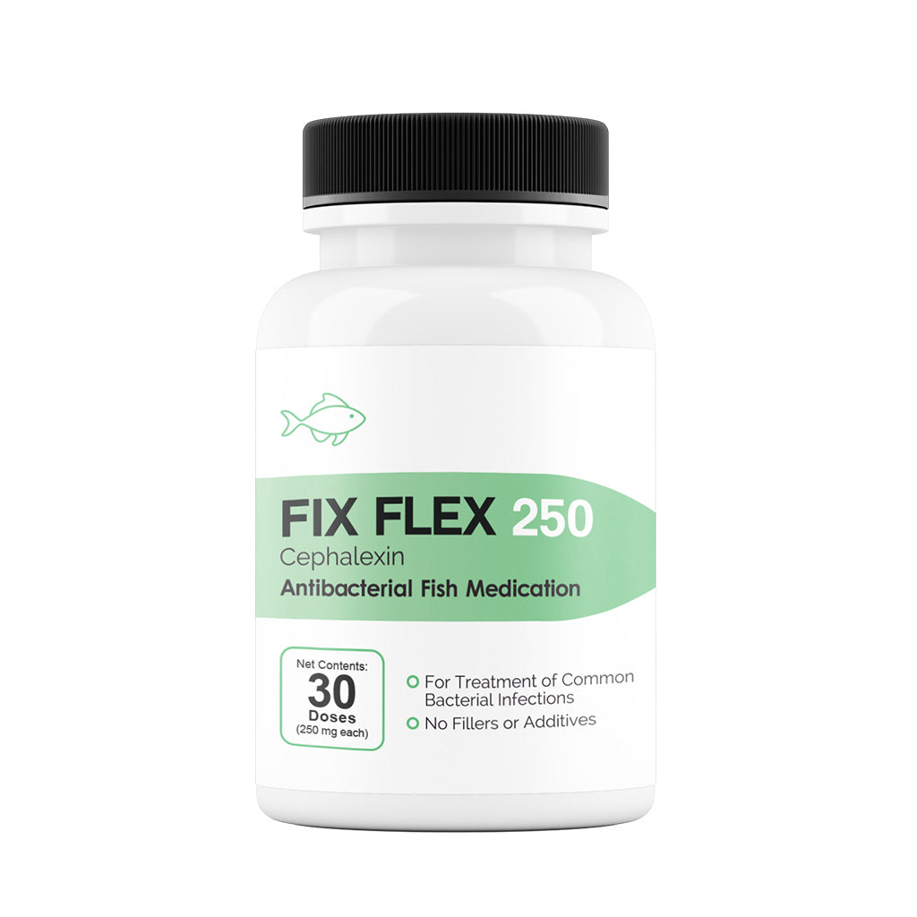 Fix Flex (Cephalexin) Capsules Fish Antibiotics