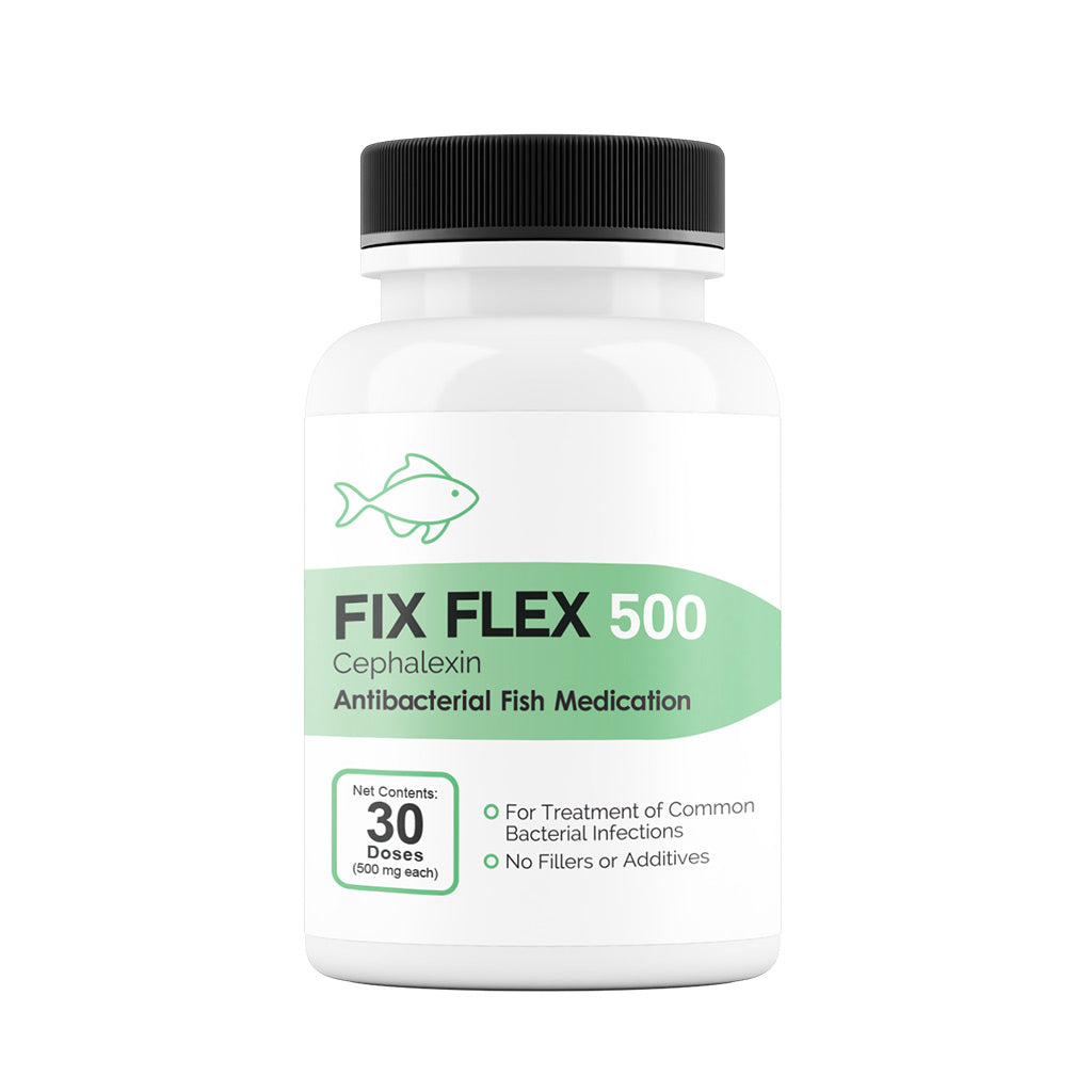 Fix Flex (Cephalexin) Capsules Fish Antibiotics