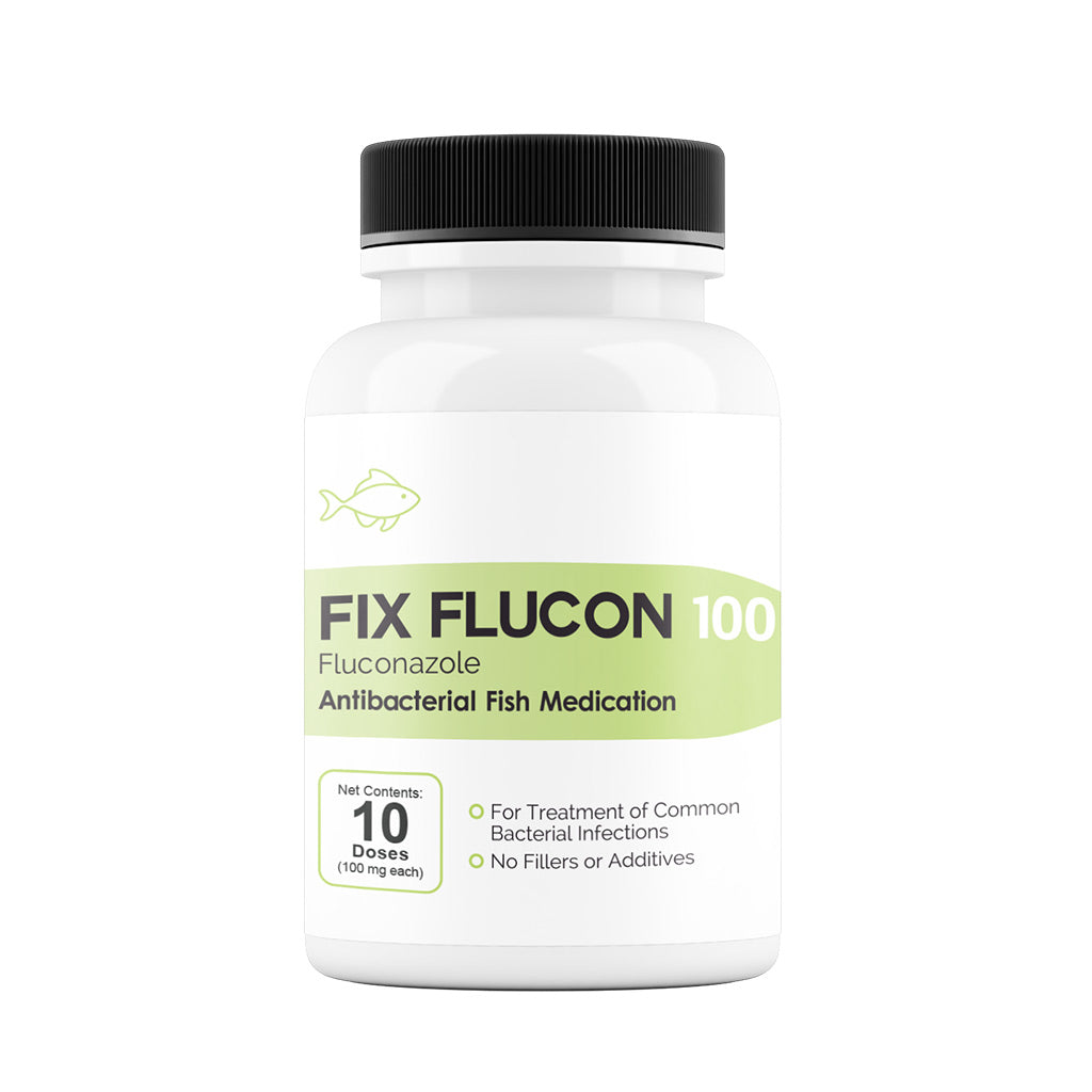 Fix Flucon (Fluconazole) Tablets Fish Antibiotics, 100-mg, 10-count