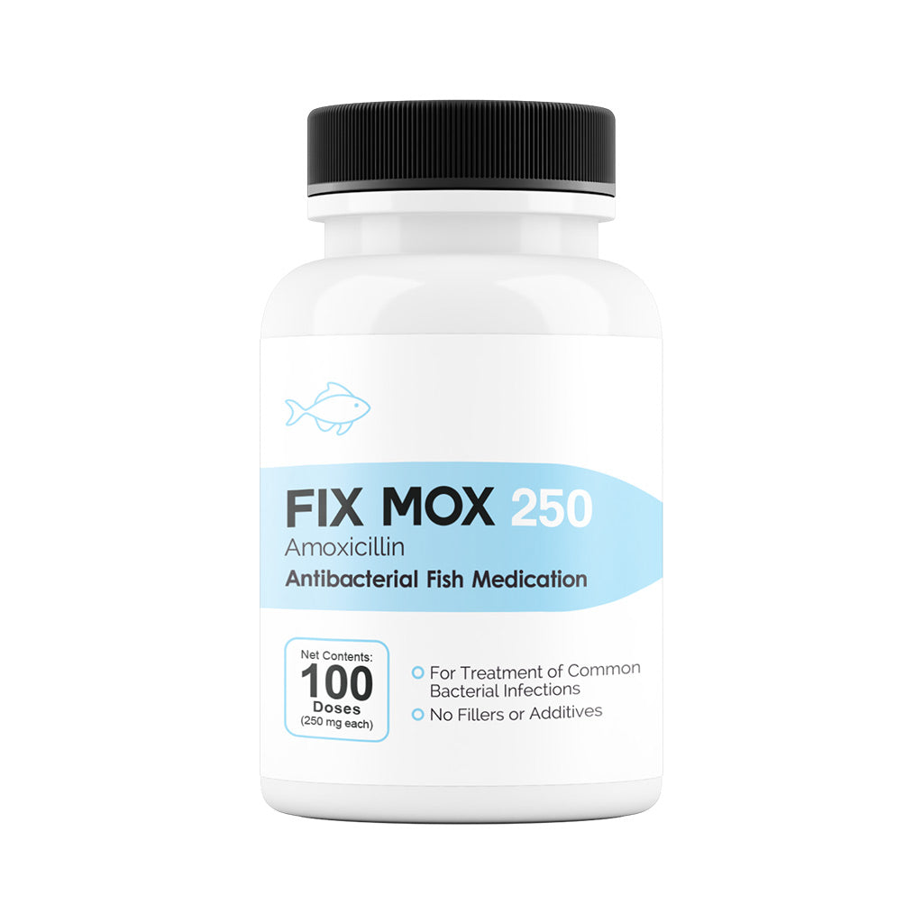Fix Mox (Amoxicillin) Capsules Fish Antibiotics