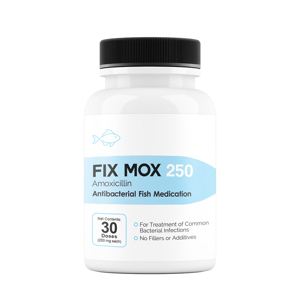 Fix Mox (Amoxicillin) Capsules Fish Antibiotics