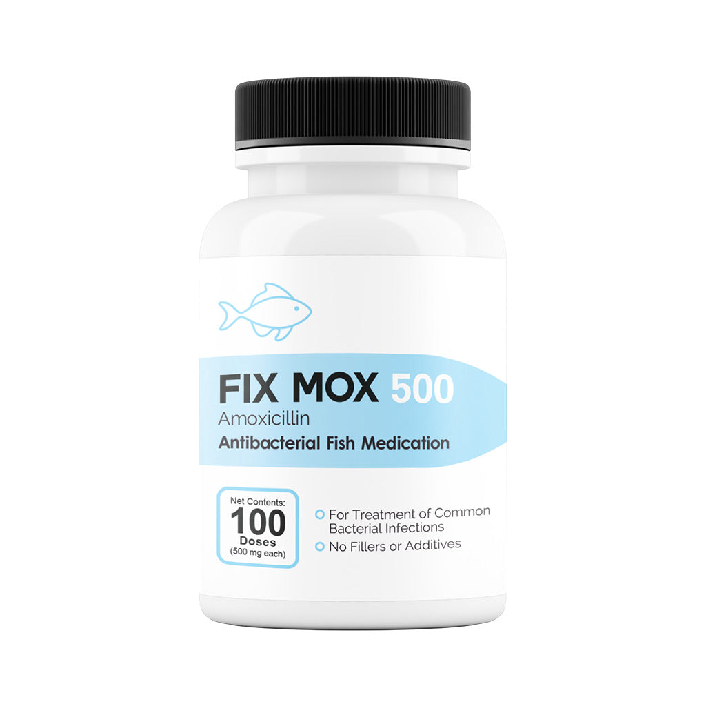Fix Mox (Amoxicillin) Capsules Fish Antibiotics
