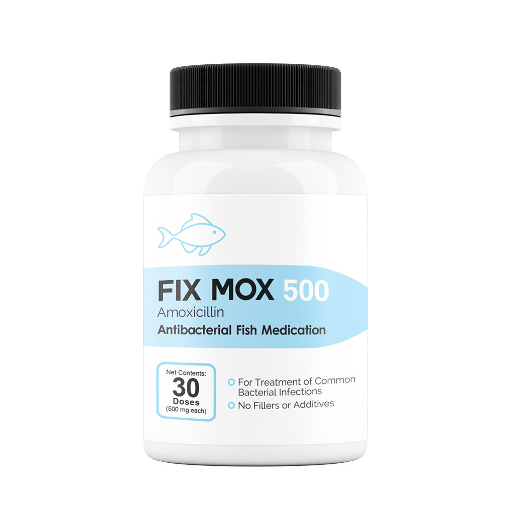 Fix Mox (Amoxicillin) Capsules Fish Antibiotics