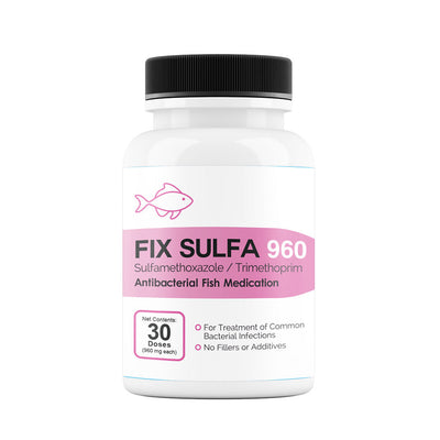 Fix Sulfa (Sulfamethoxazole/ Trimethoprim) Tablets Fish Antibiotics