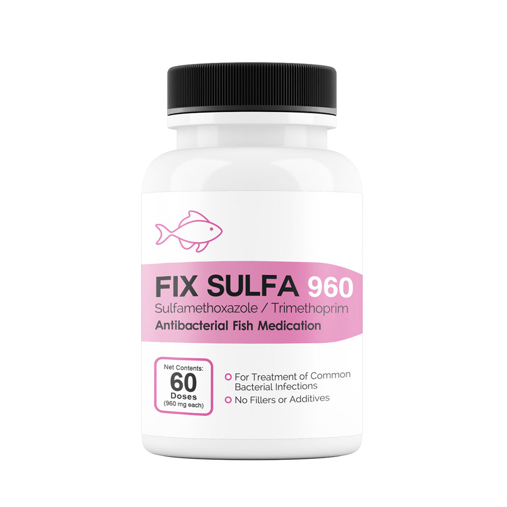 Fix Sulfa (Sulfamethoxazole/ Trimethoprim) Tablets Fish Antibiotics