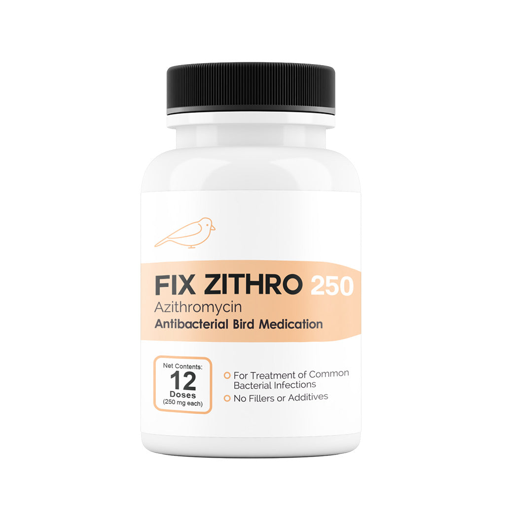 Fix Zithro (Azithromycin) Tablets Fish Antibiotics