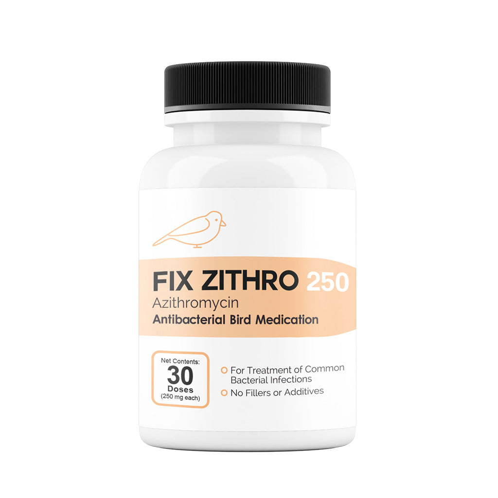 Fix Zithro (Azithromycin) Tablets Fish Antibiotics
