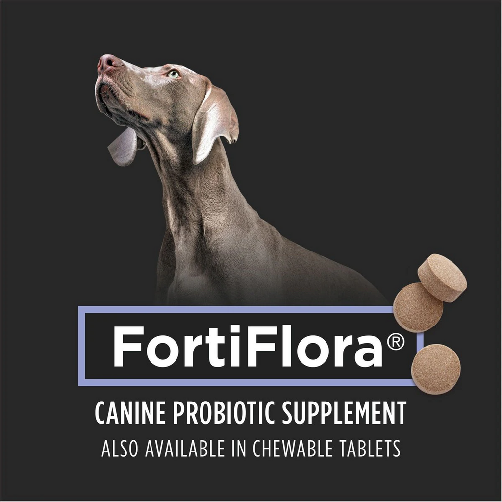 FortiFlora Canine Probiotic