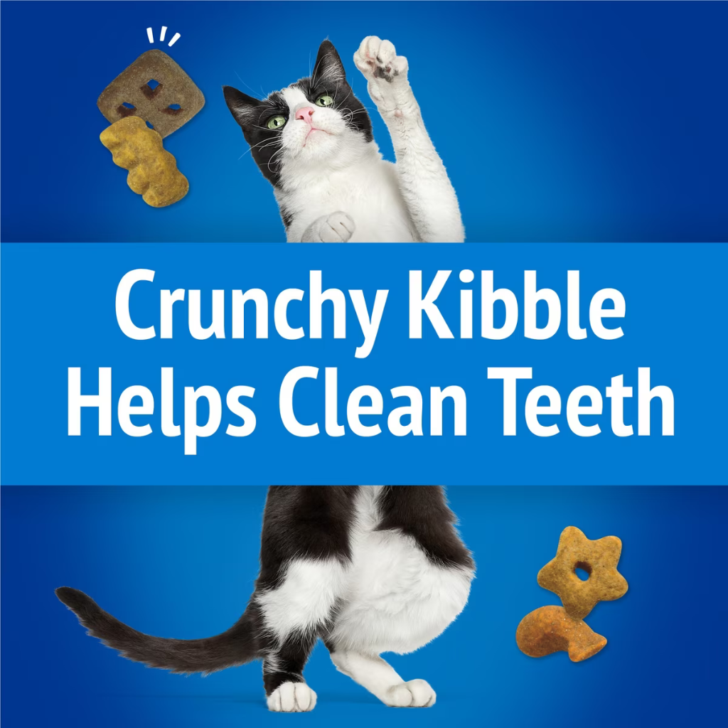 Friskies Party Mix Beachside Crunch Cat Treats