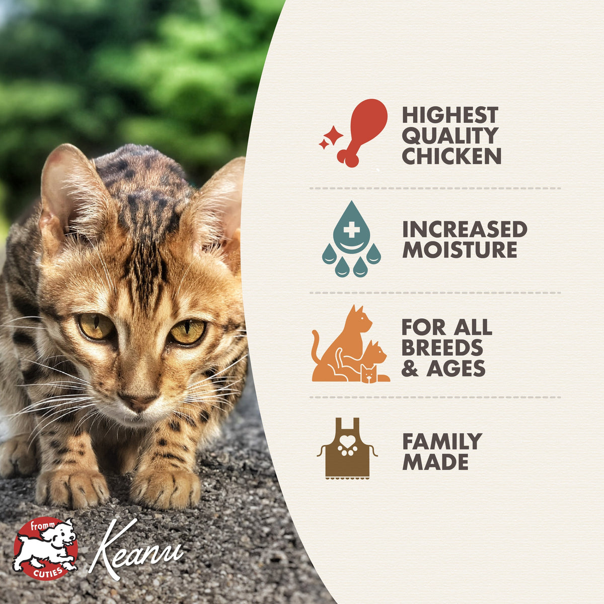 Fromm Four-Star Shredded Chicken in Gravy Entree Wet Food for Cats