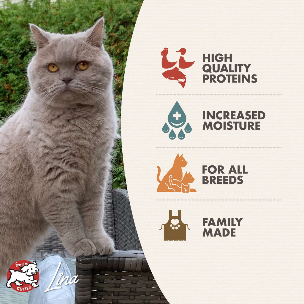 Fromm Gold Chicken, Duck & Salmon Pate Wet Cat Food, 5.5-oz, case of 12