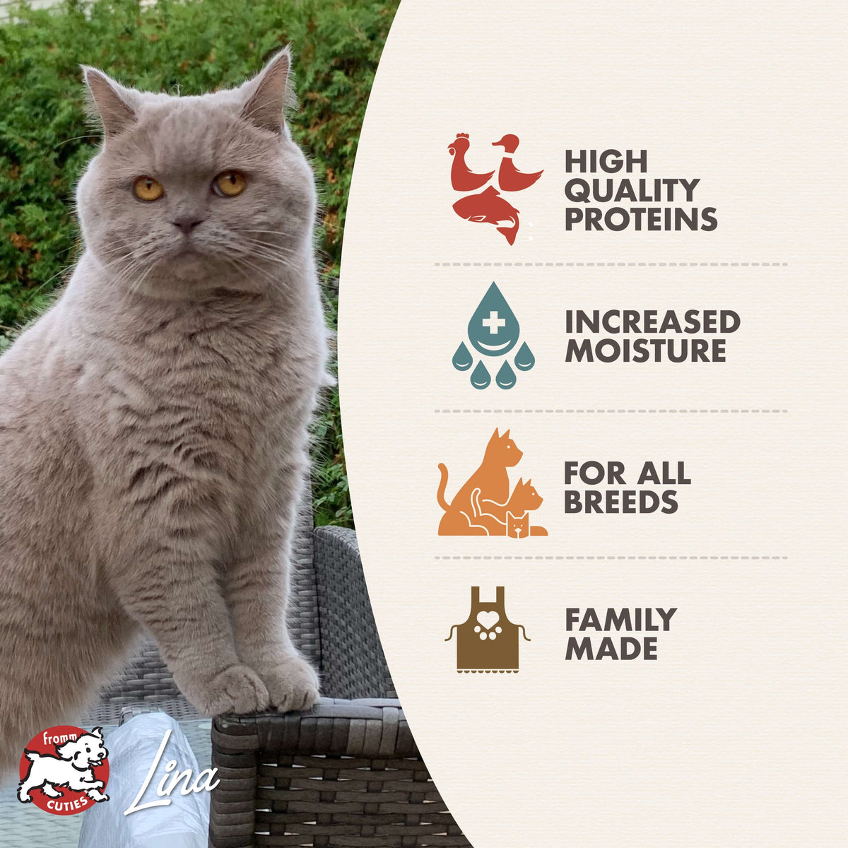 Fromm Gold Chicken, Duck & Salmon Pate Wet Cat Food, 5.5-oz, case of 12