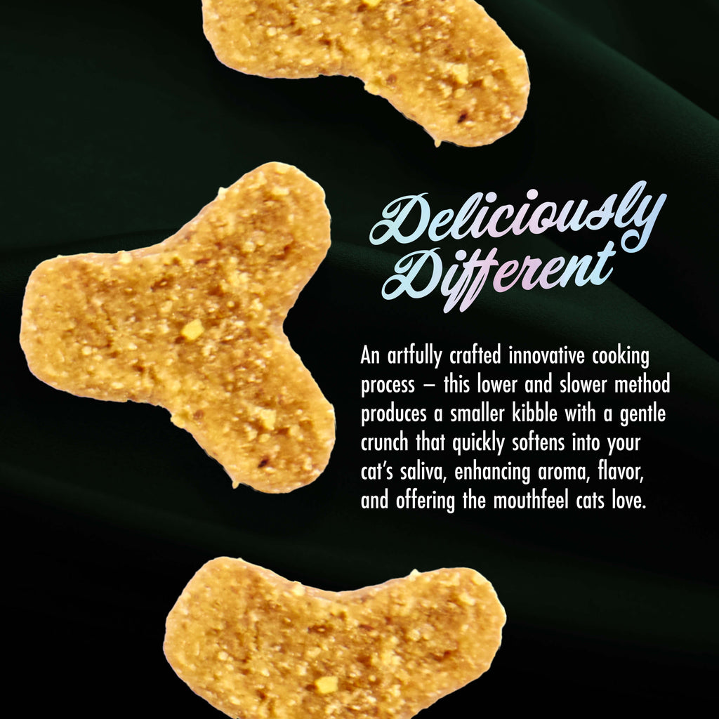 Fromm PurrSnickitty Game Bird Grandeur Cat Food