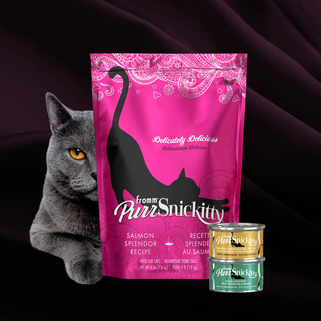 Fromm PurrSnickitty Salmon Splendor Cat Food