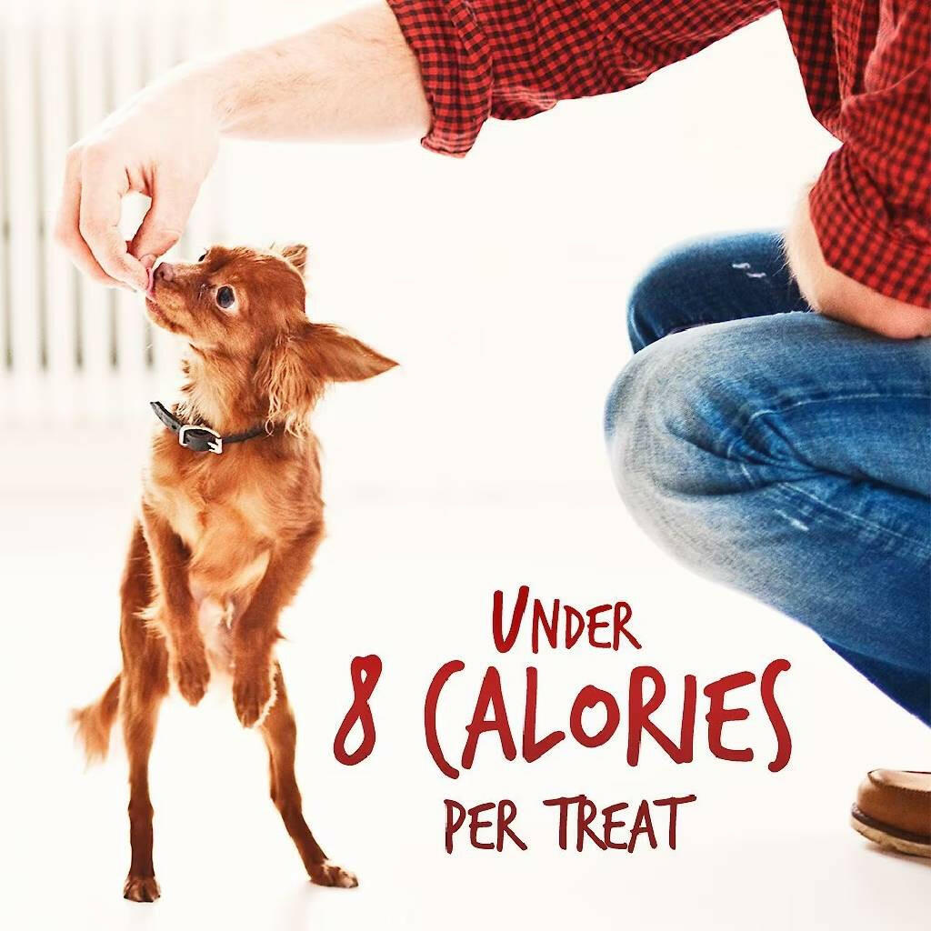 Fruitables Crispy Bacon & Apple Crunchy Dog Treats