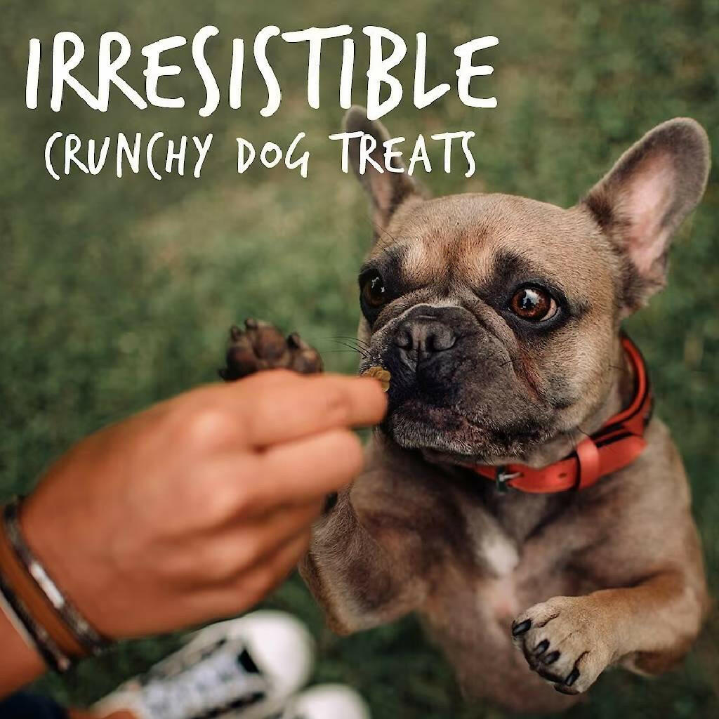 Fruitables Crispy Bacon & Apple Crunchy Dog Treats
