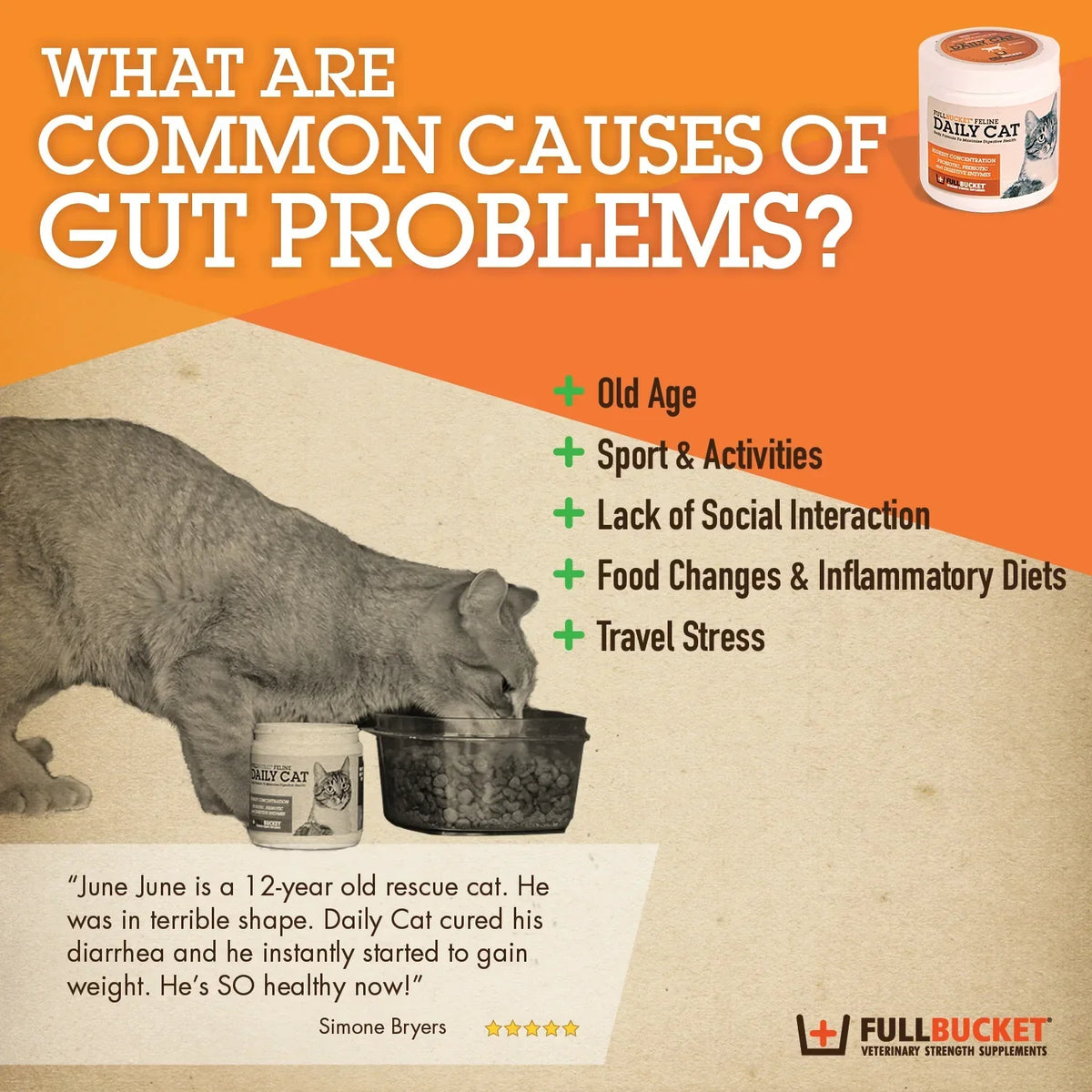Fullbucket Daily Cat Probiotic Powder (87g, 30 servings)