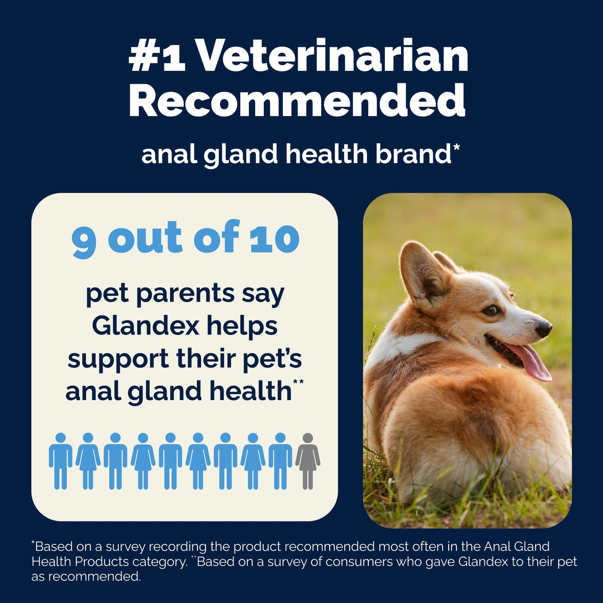Glandex Anal Gland Support Beef Liver Flavored Powder for Dogs & Cats