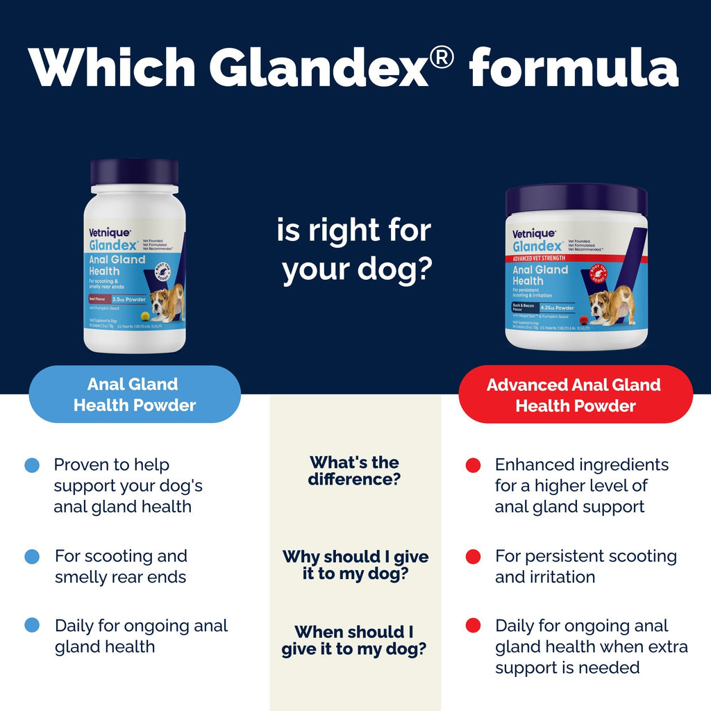 Glandex Anal Gland Support Beef Liver Flavored Powder for Dogs & Cats