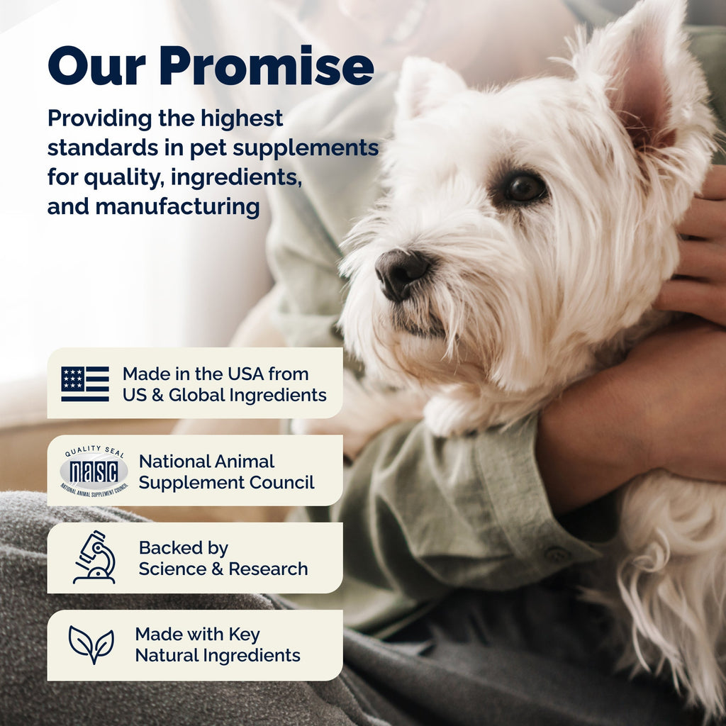 Glandex Anal Gland Support Peanut Butter Soft Chews for Dogs