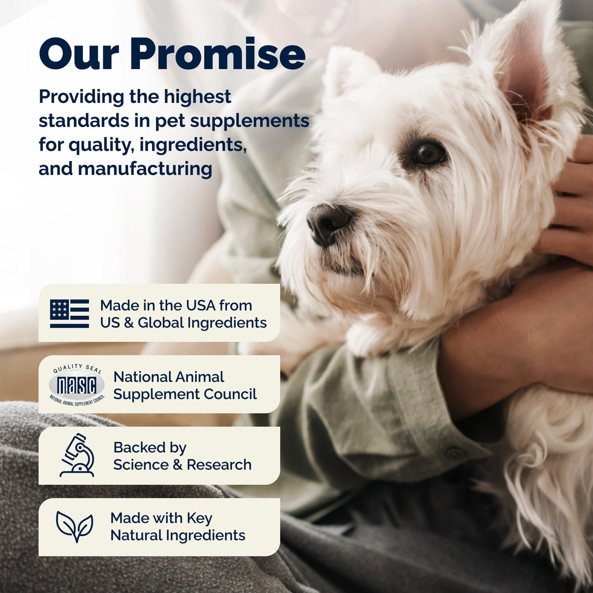 Glandex Anal Gland Support Peanut Butter Soft Chews for Dogs